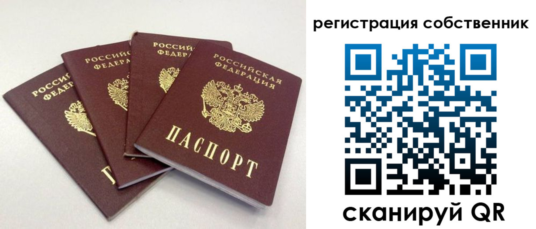 прописка для школы в Приморско-Ахтарске
